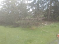 IMG_20210622_092023205.jpg