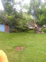 IMG_20210622_095043158.jpg