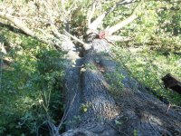 DSCN8238.JPG