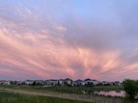 AC7482BD-0D1A-4D50-93BE-7761884D5BC3.jpeg