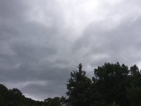 20210625_113941.jpg