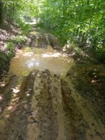 IMG_20210625_141544.jpg