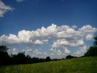 DSC05793.JPG