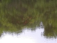 IMG_20210627_162144.jpg