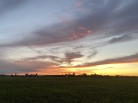 CE84DC64-EDA5-4285-AC7C-F70BFDF20496.jpeg