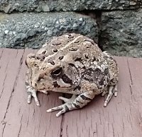 IMG_20210629_082018321~2.jpg