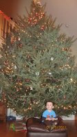 Aiden and Christmas tree.JPG