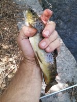 20160808_152703.jpg