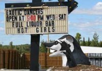 WIBIRbadger_1340.jpg