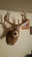 20160819_074930.jpg