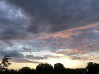 7F0DF775-A806-4CE1-885F-83F350BCEC25.jpeg