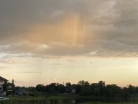 CDBE5B24-CAA0-4479-B17C-13FD703CF12F.jpeg