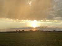 582B1D4A-5E93-44E9-BEFA-D56E240E6033.jpeg