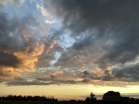 5583ACD0-316B-4CDE-AAB5-682C1205F74A.jpeg