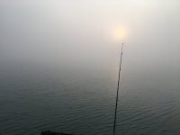 F7215CAD-FB84-44FB-9D67-70D7BACBD783.jpeg