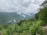 2021-07-01 13.03.34.jpg