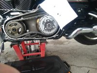 IMG_20210705_101237118_MP.jpg