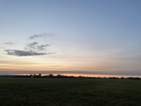 AA3C17A2-2D86-4F20-A3C4-28885229B5E3.jpeg