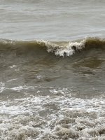 74FD4D90-A8CE-45F1-89C9-DF2772FB3E6F.jpeg