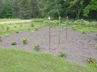 IMG_20210711_104126656.jpg