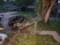 First light driveway.jpg