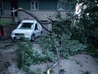 Limb on van.jpg