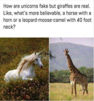 Unicorns VS Giraffes.png
