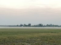 D4847BD6-7671-4E21-9115-D1010B1913F7.jpeg