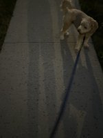 245019C8-7716-42BF-A040-7E6EDF493EB6.jpeg