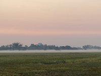 68B41334-C519-4EF3-845D-C8DF7F01D717.jpeg
