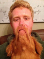 Dog Beard.PNG