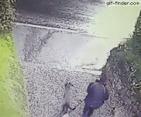 41105679-6B6D-4665-AF49-A5C5810EC68F.gif