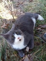 IMG_20210224_115104.jpg