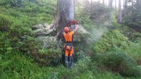 IMG-20210716-WA0003.jpg