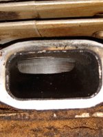 IMG_20210730_154938453.jpg