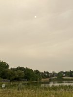 8FB1C11A-935D-4B03-B003-5CECDE268584.jpeg