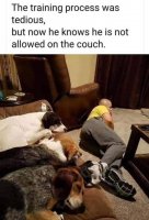 4C9AF3A3-6E0C-454D-987B-AD3D32892B21.jpeg
