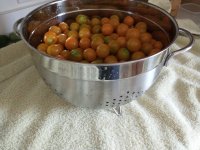 IMG_20210804_154600633.jpg