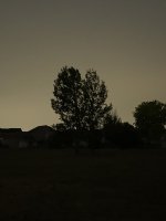 31C6A238-8F4A-4C79-9DCA-8C8C23C2AA20.jpeg