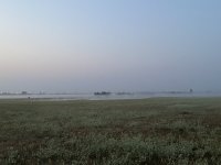 52A3A4BA-9265-40D2-B650-3108E80B649E.jpeg