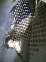 IMG_20210809_082443967.jpg