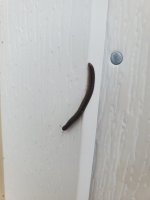 20210809_071929.jpg