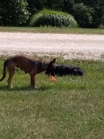 IMG_20210809_152422.jpg