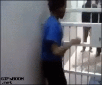 6550D039-DBAB-4410-8729-401ECE0FF42C.gif