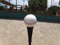 baseball-t-ball-tee-ball-youth-sports.jpg
