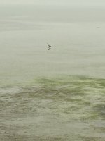 6FA5761E-E7F8-4D3E-BAF7-D10BE72FB6B4.jpeg