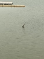 F5DFFB4D-C4DB-4307-B1A4-B2A38392F65F.jpeg