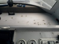 IMG_20210818_100034.jpg