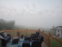 20210819_061042.jpg