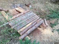 IMG_7725.jpeg